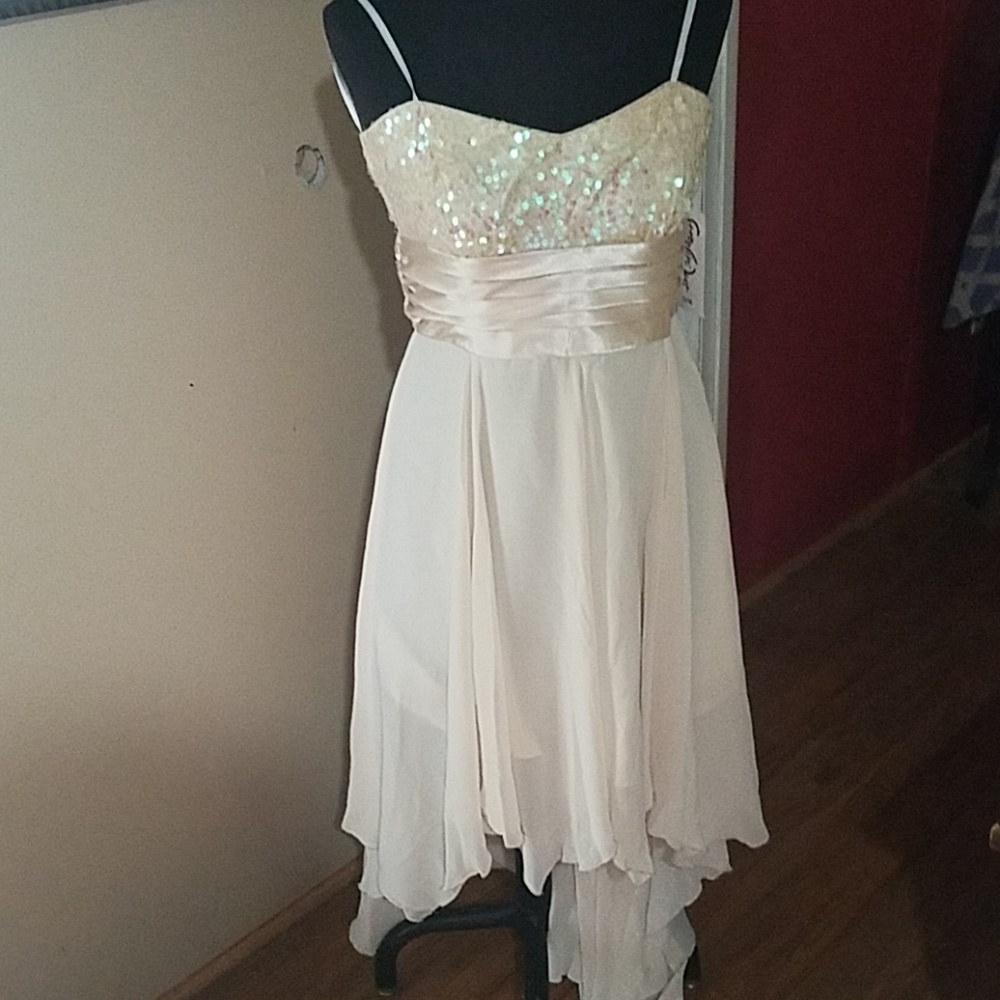 Strapless Gown